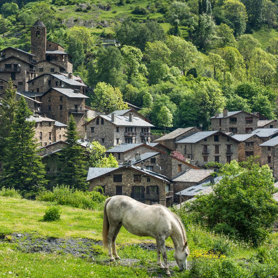 Photo of the Caldea Spa building at night centre