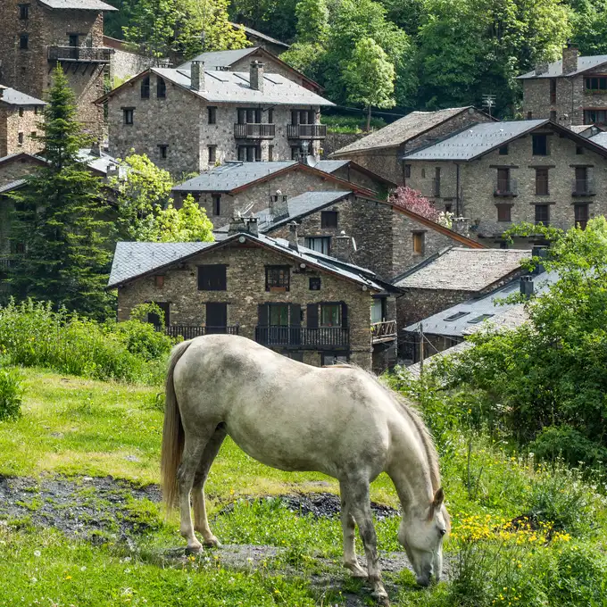 Photo of the Caldea Spa building at night centre